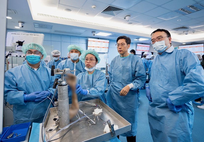 HK Wrist Course 2024 - Workshops  - 93 of 241